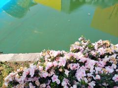-长沙海底世界
