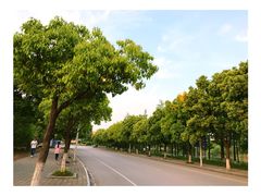 -南京工程学院(江宁校区)