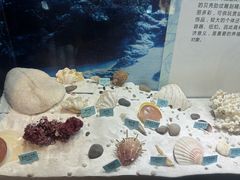 -温州博物馆