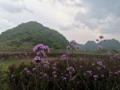 -云漫湖生态度假公园