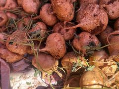 -南坛综合农贸市场