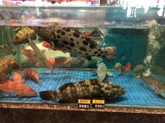 -聚福宝合苑食府(南头镇店)