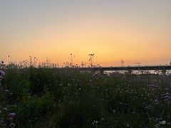 -光明小镇欢乐田园