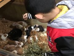 -上海大自然野生昆虫馆(东方明珠·爬宠昆虫探索中心)