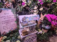 -正佳雨林生态植物园