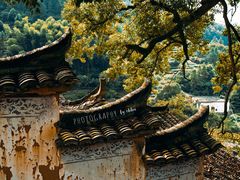-杨家堂村