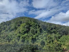 -中国科学院西双版纳热带植物园