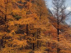 -崂山巨峰游览区