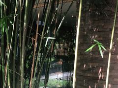 -星巴克(人民公园店)