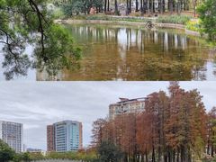 -四海公园(南山区)