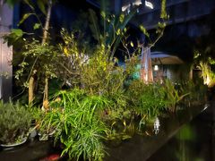 -肴约·花园式餐厅(湖里店)