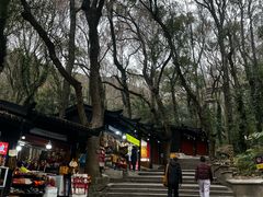 -普陀山风景区-佛顶山