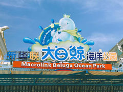 -芜湖新华联大白鲸海洋公园