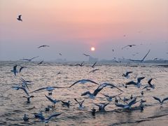 -老虎石海上公园