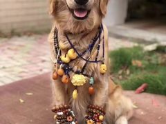 -大桶大足浴(广灵店)