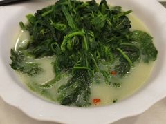 -五谷芳乳鸽王(海景店)