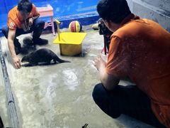 -太平洋海底世界