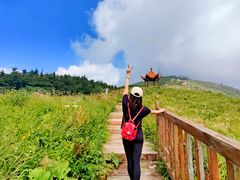 -白草畔自然风景区