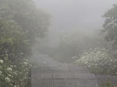 -大围山国家森林公园