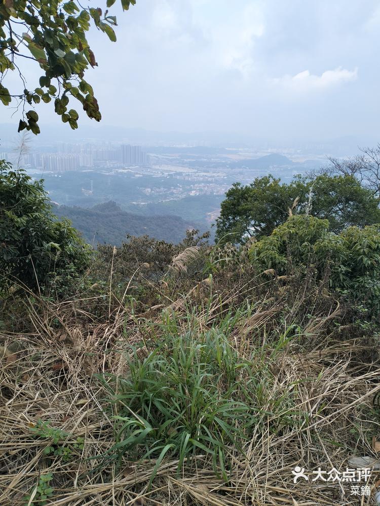 增城南香山爬山路线图片