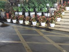 -天怡·鱼工厂(梅溪湖店)