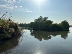 -芒洲湿地公园