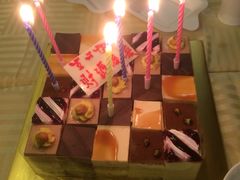 -维尔纳斯·生日蛋糕动物奶油冰淇淋蛋糕(人大店)