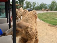 -南京金牛湖风景区