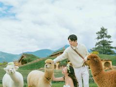 -爱我旅拍婚纱摄影(大理店)