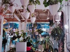 -春树下·树屋花房西餐厅(罍街AS1980店)