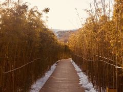 -白鹿原影视城