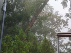 -终南山南五台景区