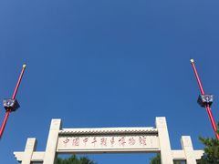 -刘公岛景区