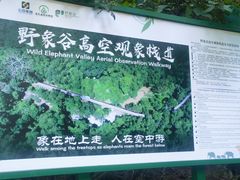-野象谷景区