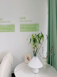 -凡碧诗毛孔清洁收细