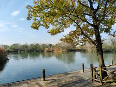 -西溪国家湿地公园