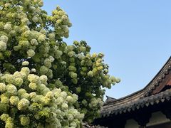 -阳澄湖半岛旅游度假区