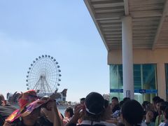 -秦皇岛乐岛海洋王国