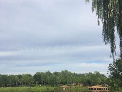 -东郊湿地公园