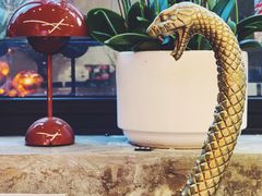 -PlantsEatery·植物食堂(REX春熙店)