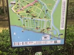 -合肥滨湖国家森林公园