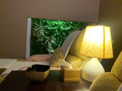 -国艺堂足疗按摩养生会馆(三亚河西路店)