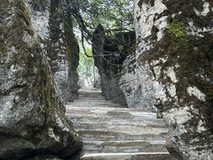 -山王坪喀斯特国家生态公园