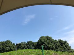 -帐篷客·溪龙茶谷度假酒店