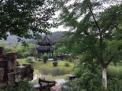 -龙寺生态园