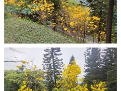 -广州市白云山风景名胜区