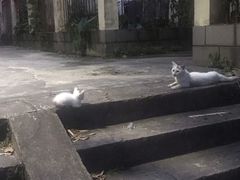 -江西财经大学(蛟桥园南校区)