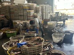 -中国舟山国际水产城