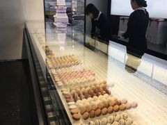 -BLACKSWAN黑天鹅(环球店)