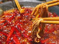 -阳阳老火锅(小南门店)